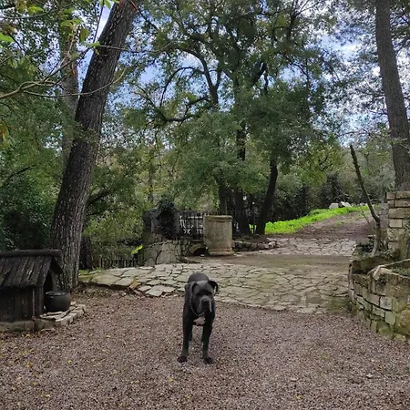 Bosquet De L'auró Casa de Férias