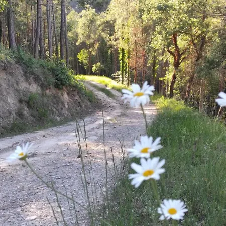 Bosquet De L'auró Casa de Férias Argençola
