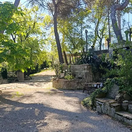 Bosquet De L'auro Argençola