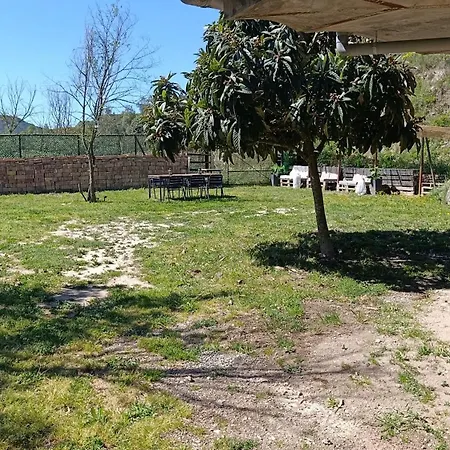 Bosquet De L'auro Argençola